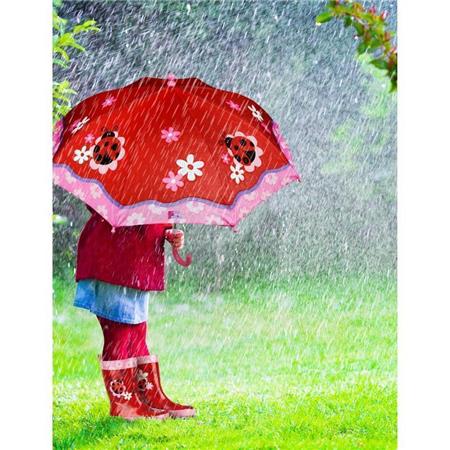 Škornji PIKAPOLONICA