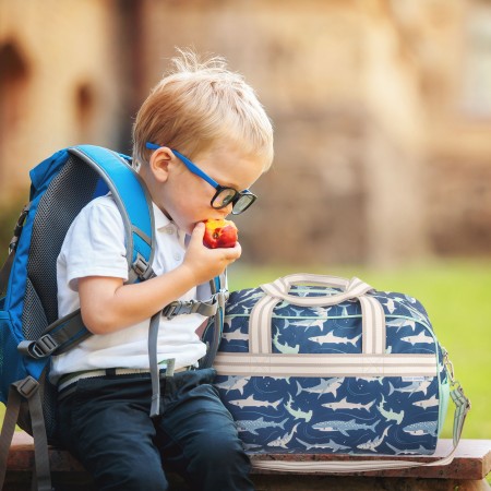 Potovalna torba MORSKI PES